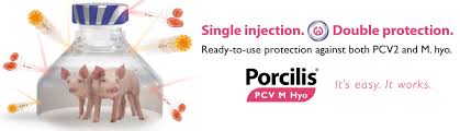 Single injection - Double protection